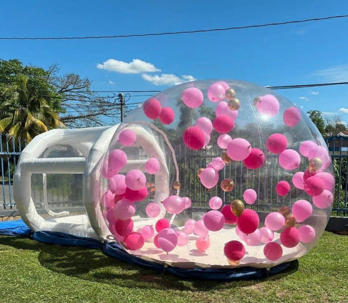 Bubble Gender reveal ballon
