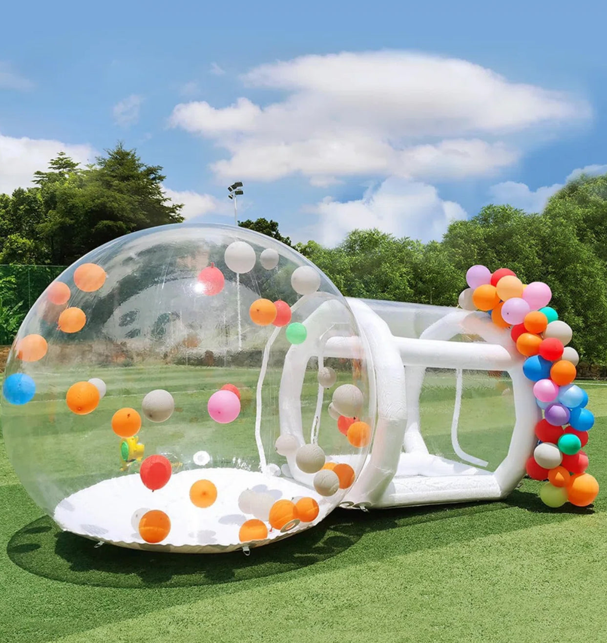 Bubble Gender reveal ballon